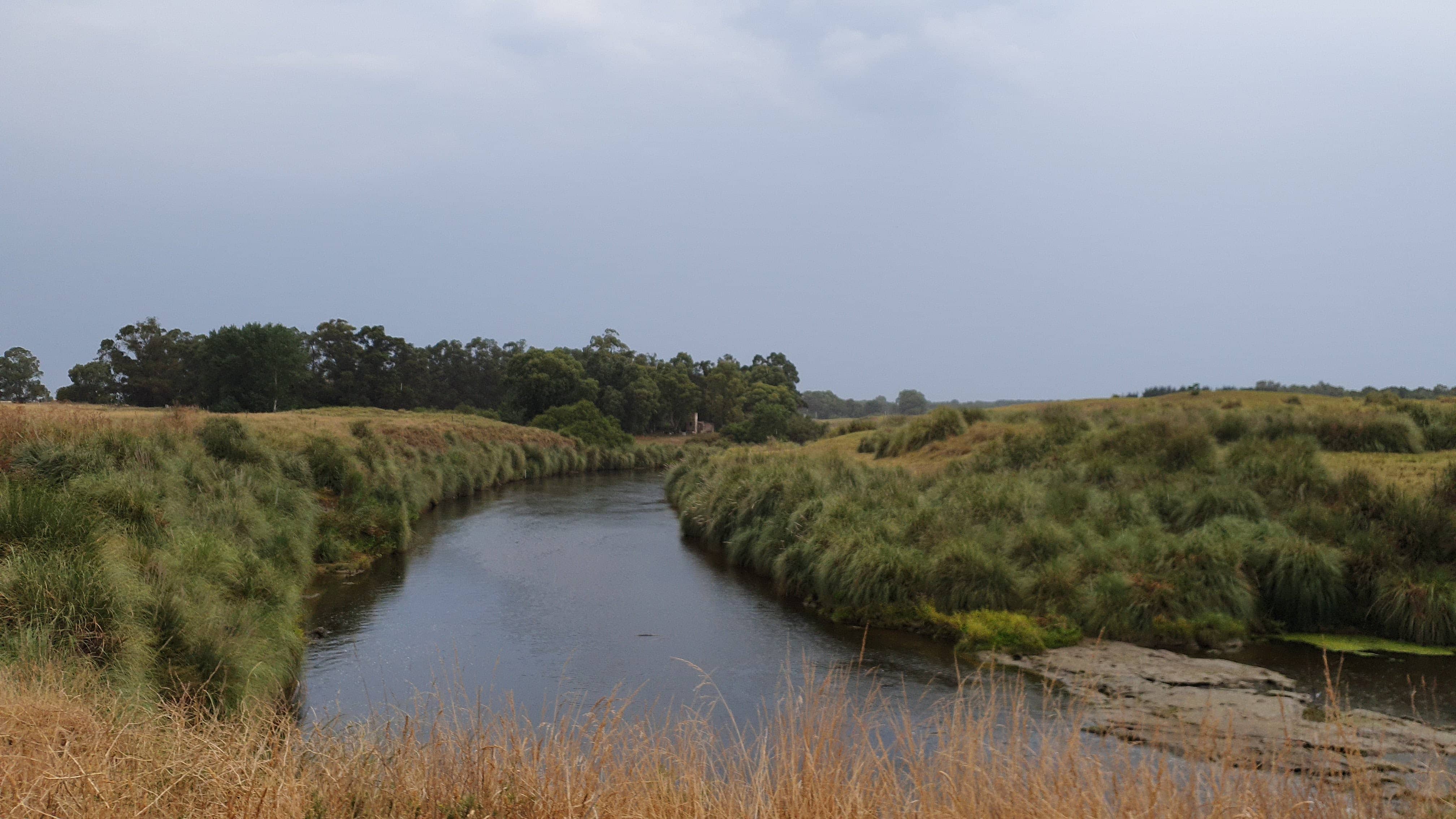 paisaje arroyo